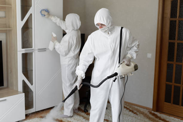 Best Residential Mold Removal  in Glenarden, MD