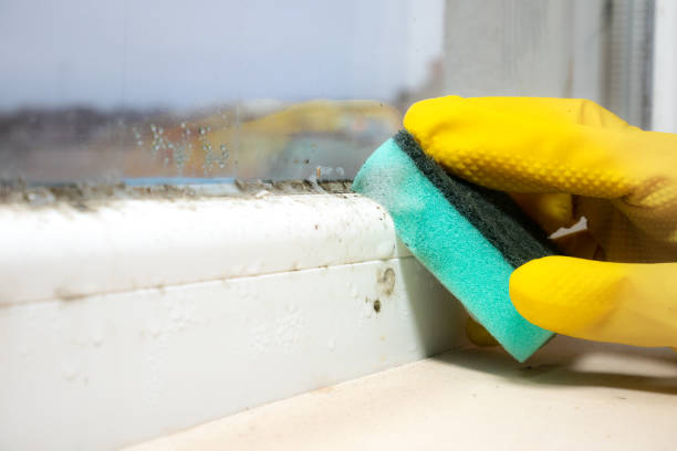 Best Mold Testing  in Glenarden, MD